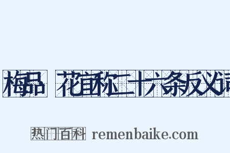 梅品·花宜称二十六条反义词是什么意思的图片